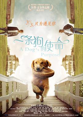 久久国产精品久久久久久小说