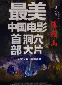 久草在线观看资源